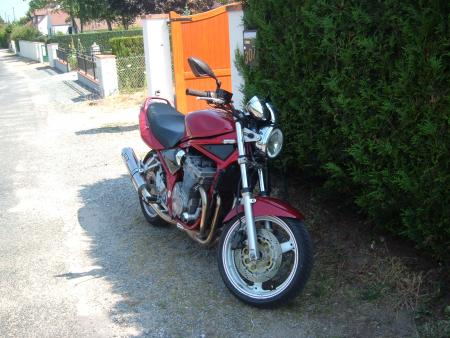 600 bandit