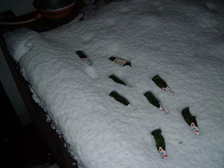 LA NEIGE C COOL